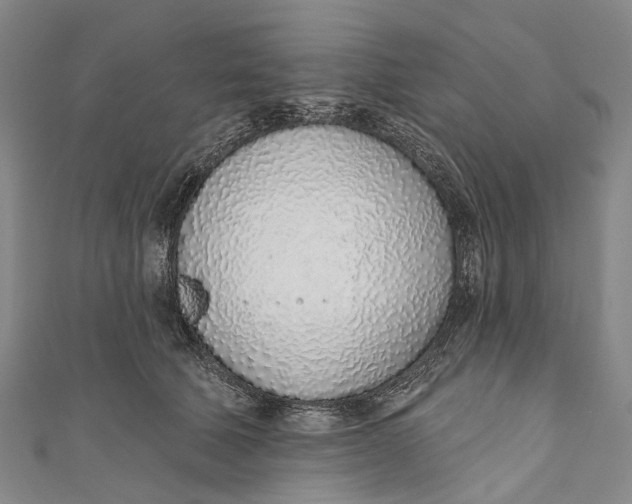 X0000110980610200907101411