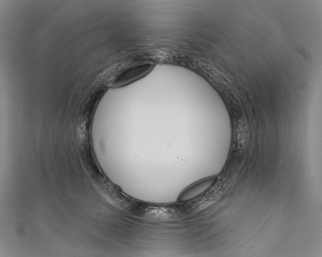 X0000110980611200907101411