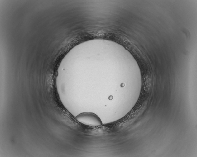 X0000110980612200907101411