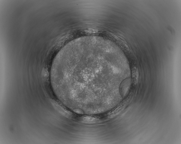 X0000110980614200907101411