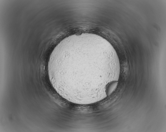 X0000110980615200907101411