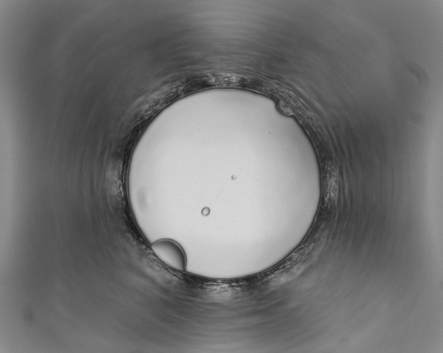 X0000110980616200907101411