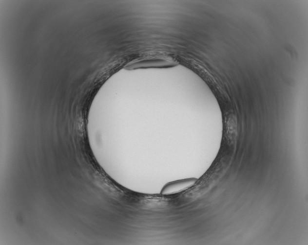 X0000110980617200907101411