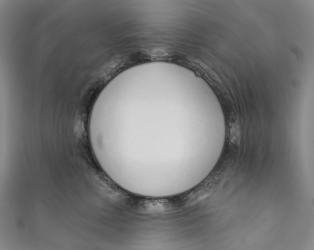 X0000110980618200907101411