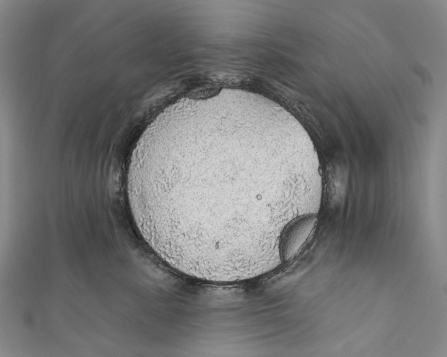 X0000110980619200907101411