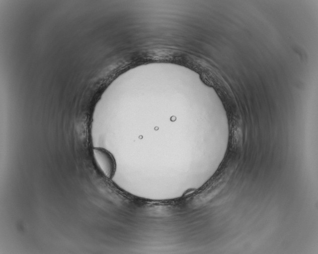 X0000110980620200907101411