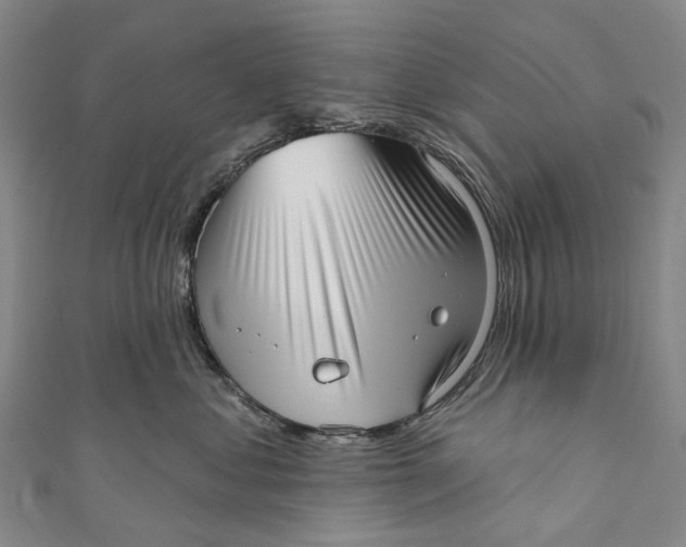 X0000110980621200907101411