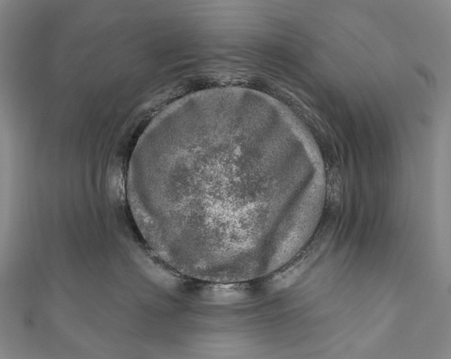 X0000110980622200907101411