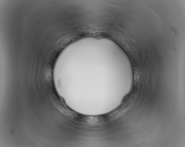 X0000110980623200907101411