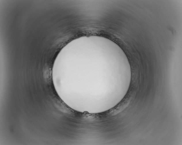 X0000110980624200907101411