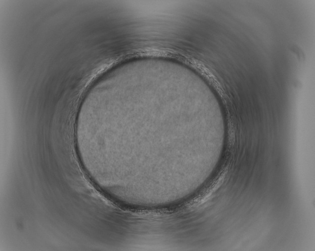 X0000110980625200907101411