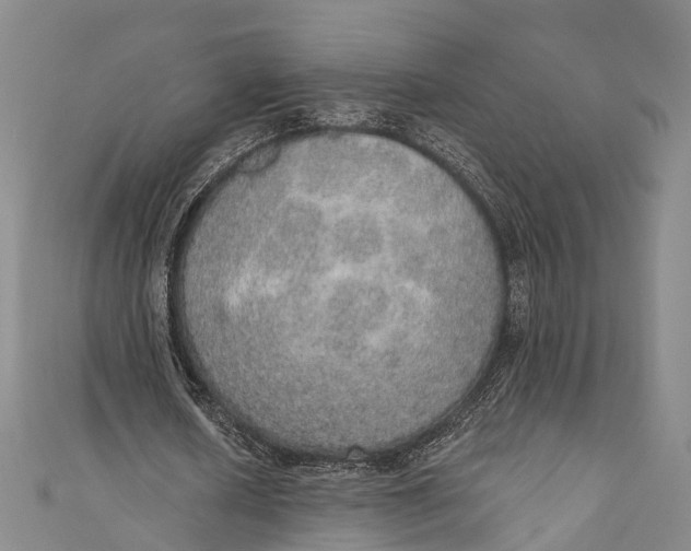 X0000110980626200907101411