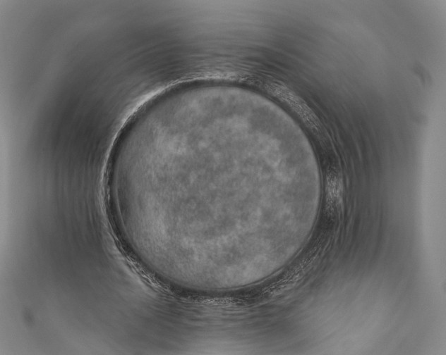 X0000110980628200907101411