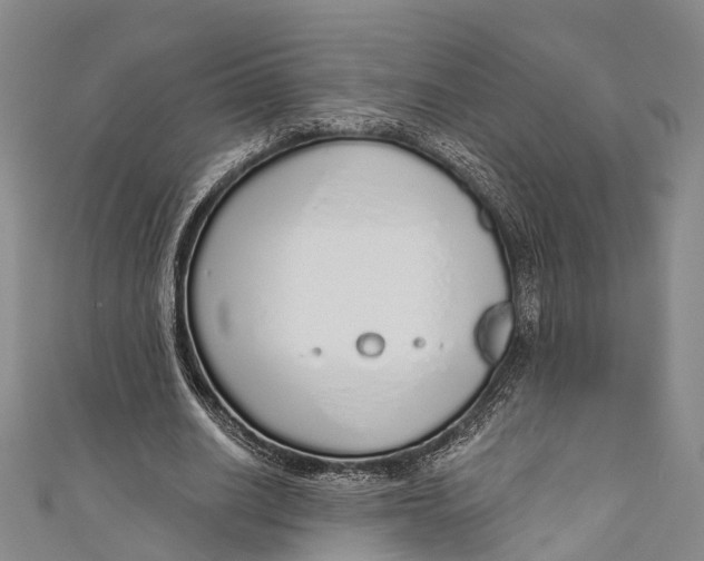 X0000110980630200907101411