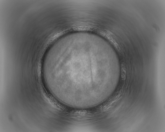 X0000110980631200907101411