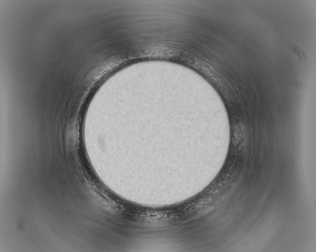 X0000110980632200907101411