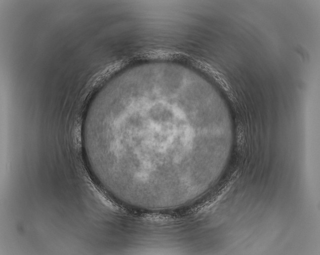 X0000110980633200907101411