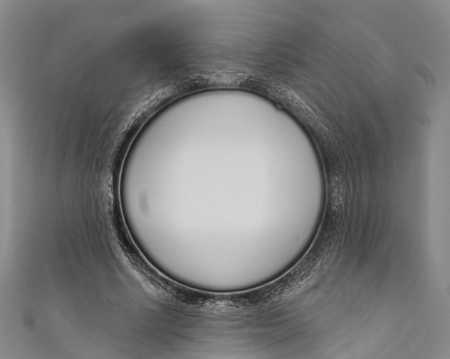 X0000110980634200907101411