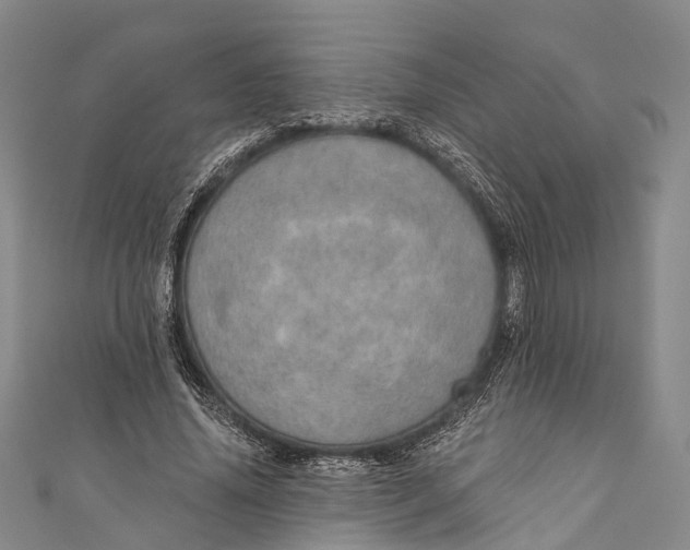 X0000110980636200907101411