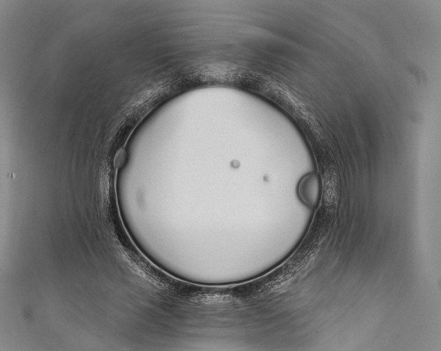 X0000110980637200907101411