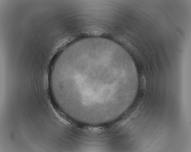 X0000110980638200907101411