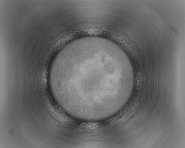 X0000110980639200907101411