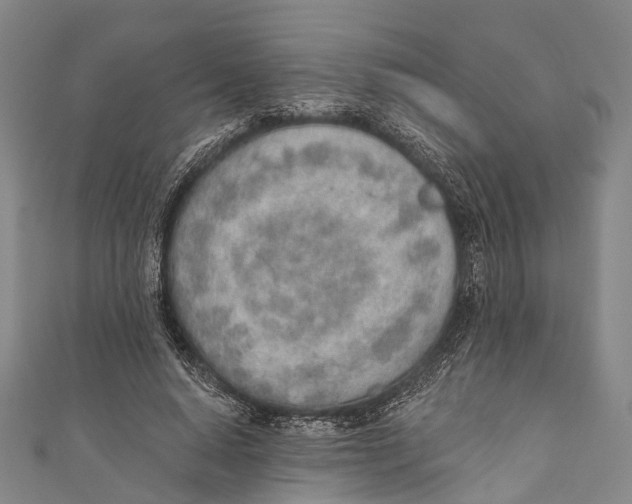 X0000110980640200907101411