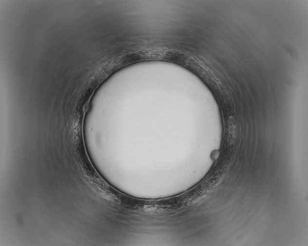 X0000110980641200907101411