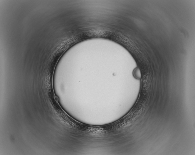 X0000110980642200907101411