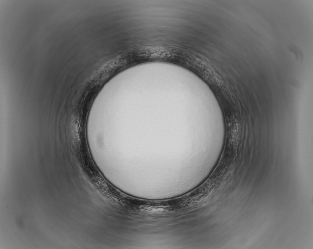 X0000110980643200907101411