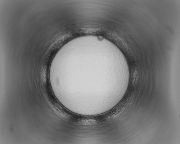 X0000110980644200907101411