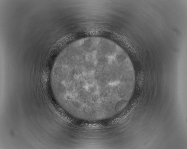 X0000110980645200907101411