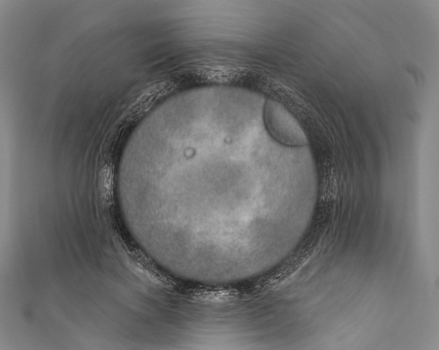 X0000110980646200907101411