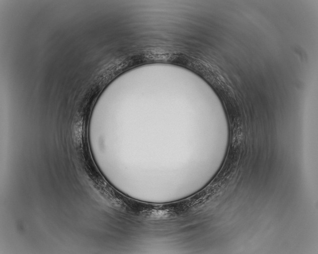 X0000110980647200907101411