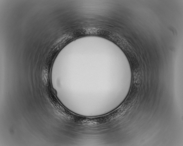 X0000110980648200907101411