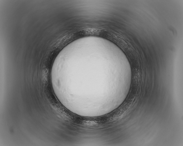 X0000110980649200907101411