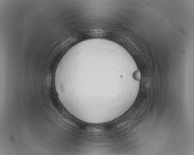 X0000110980652200907101411