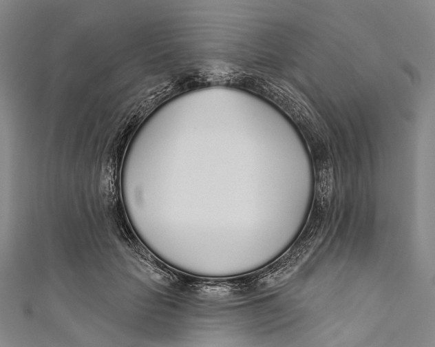 X0000110980653200907101411