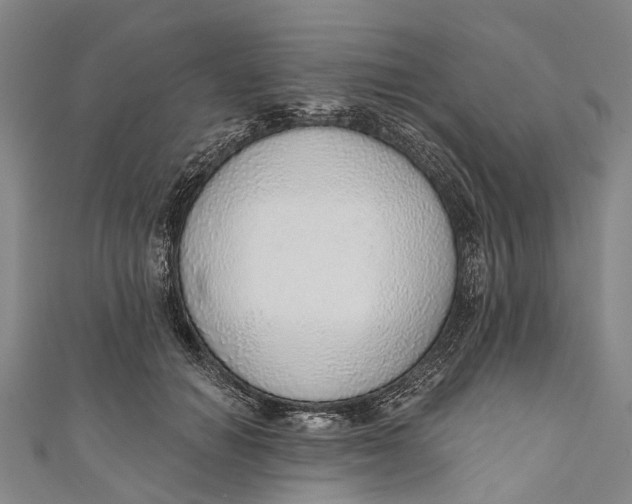 X0000110980654200907101411