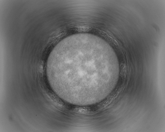 X0000110980655200907101411