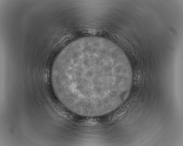 X0000110980656200907101411