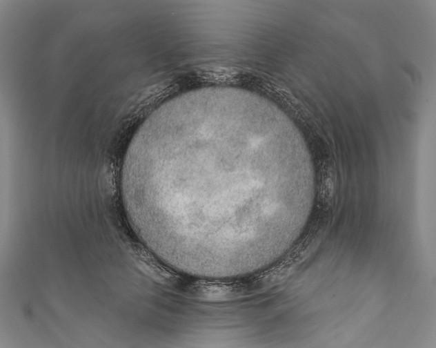 X0000110980658200907101411