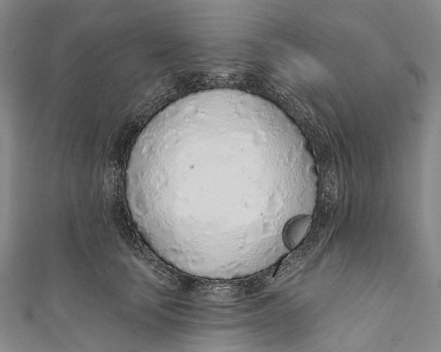 X0000110980659200907101411