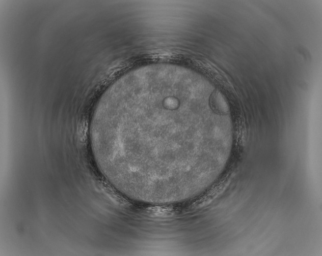 X0000110980660200907101411