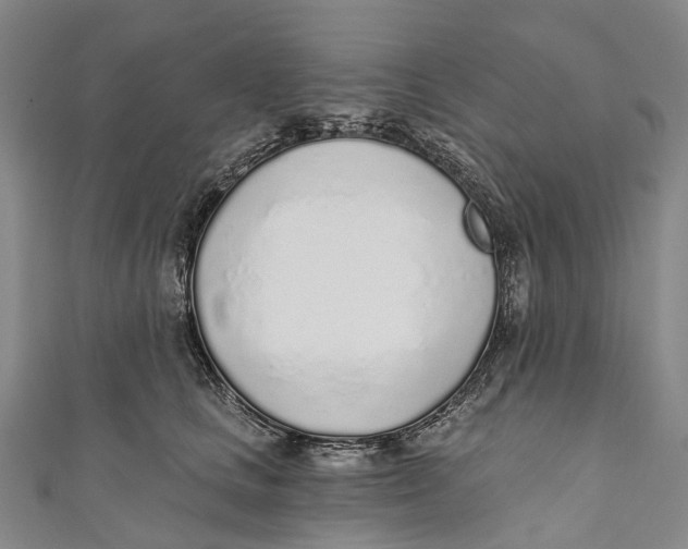 X0000110980661200907101411