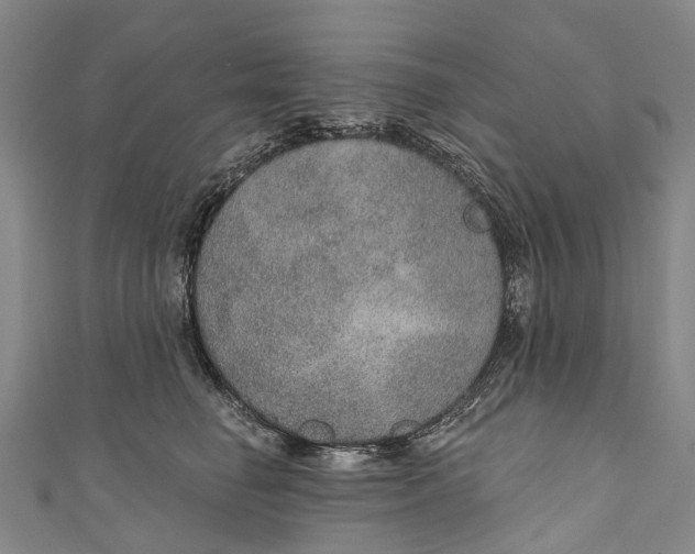 X0000110980662200907101411