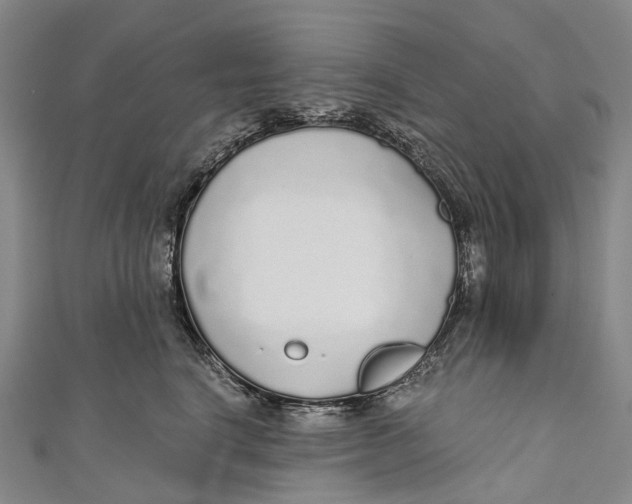 X0000110980664200907101411