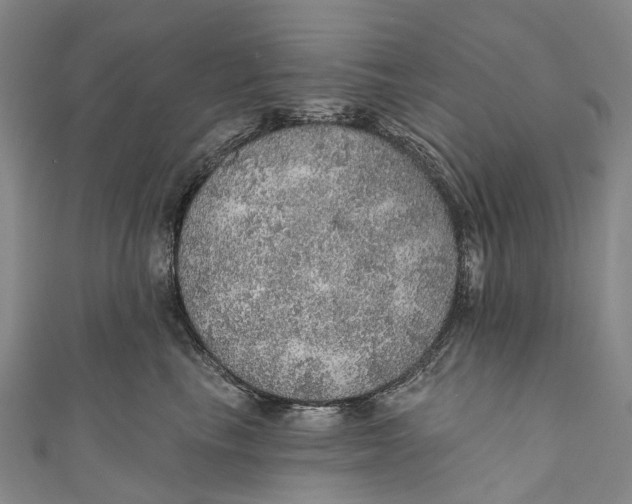 X0000110980665200907101411