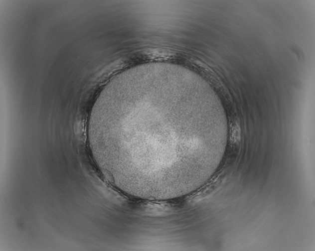 X0000110980666200907101411