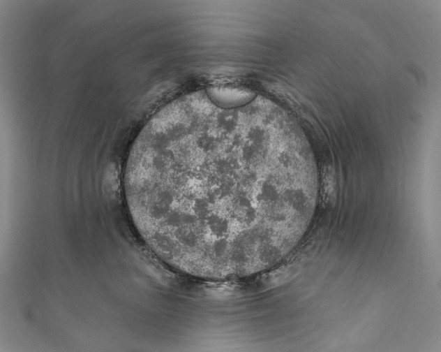 X0000110980667200907101411